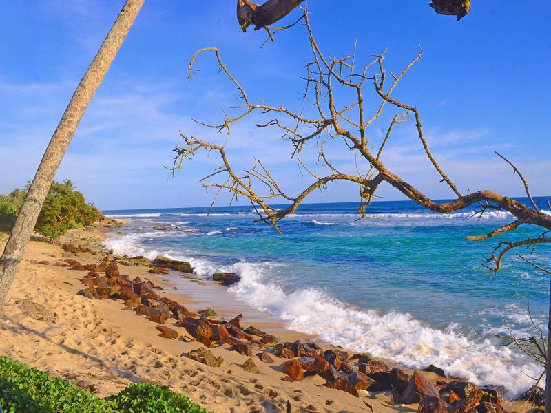 Mirissa Beach Villa Экстерьер фото